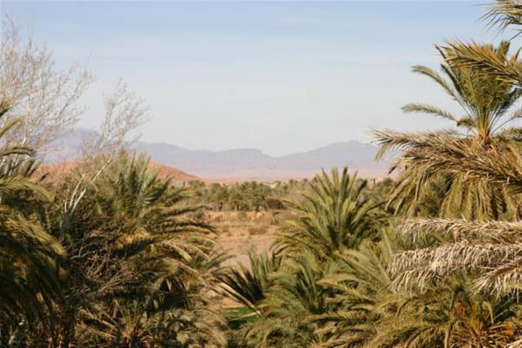 Tajda Riad Sarayas מראה חיצוני תמונה