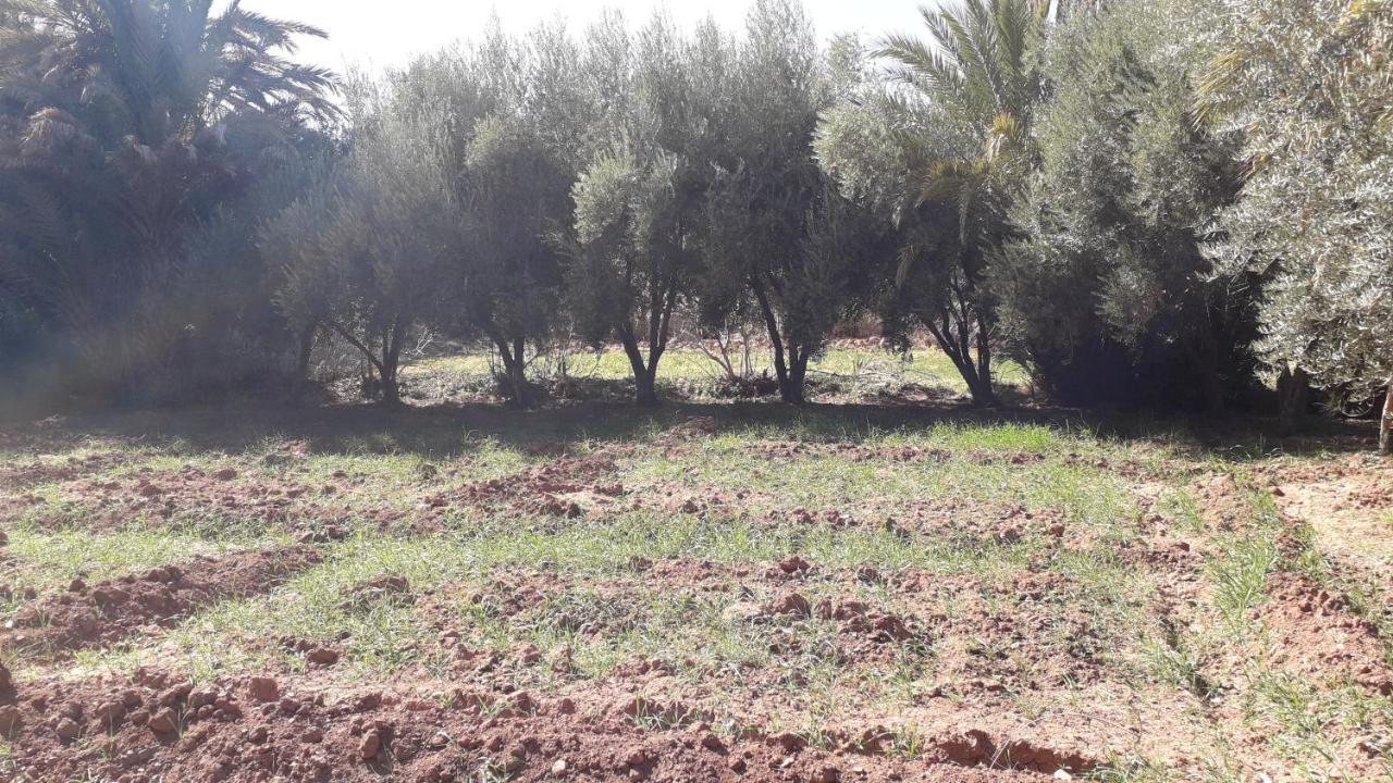 Tajda Riad Sarayas מראה חיצוני תמונה
